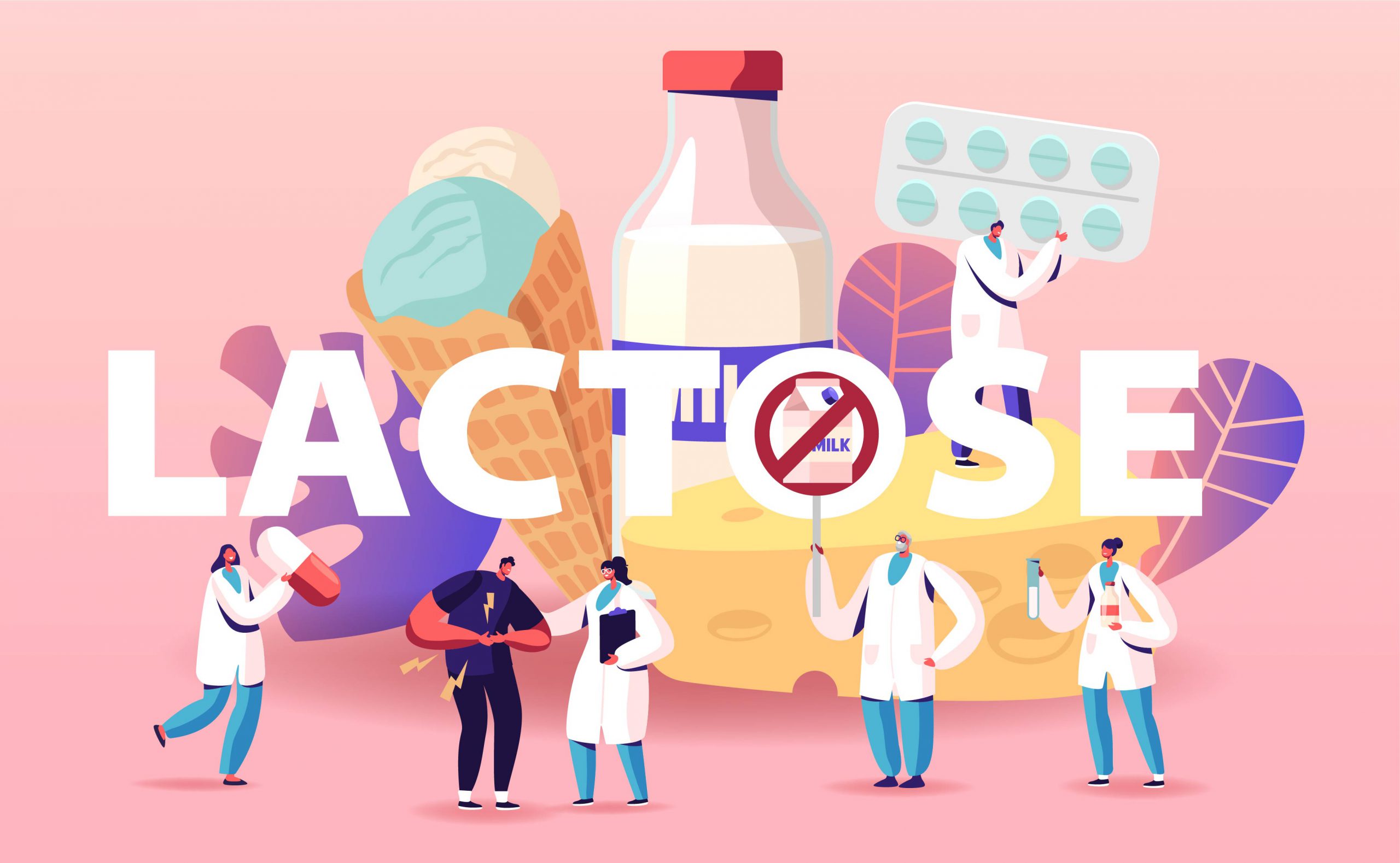 Le Lactose C Est Quoi Exactement La Vie Avec Ou Sans Lactose   Lactose 